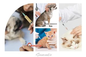 مدت زمان اثر واکسن هاری