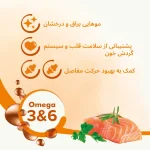 روغن ماهی سالمون برند بایلاین برای حیوانات خانگی