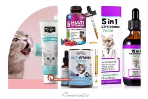 مقدار مصرف مولتی ویتامین برای گربه