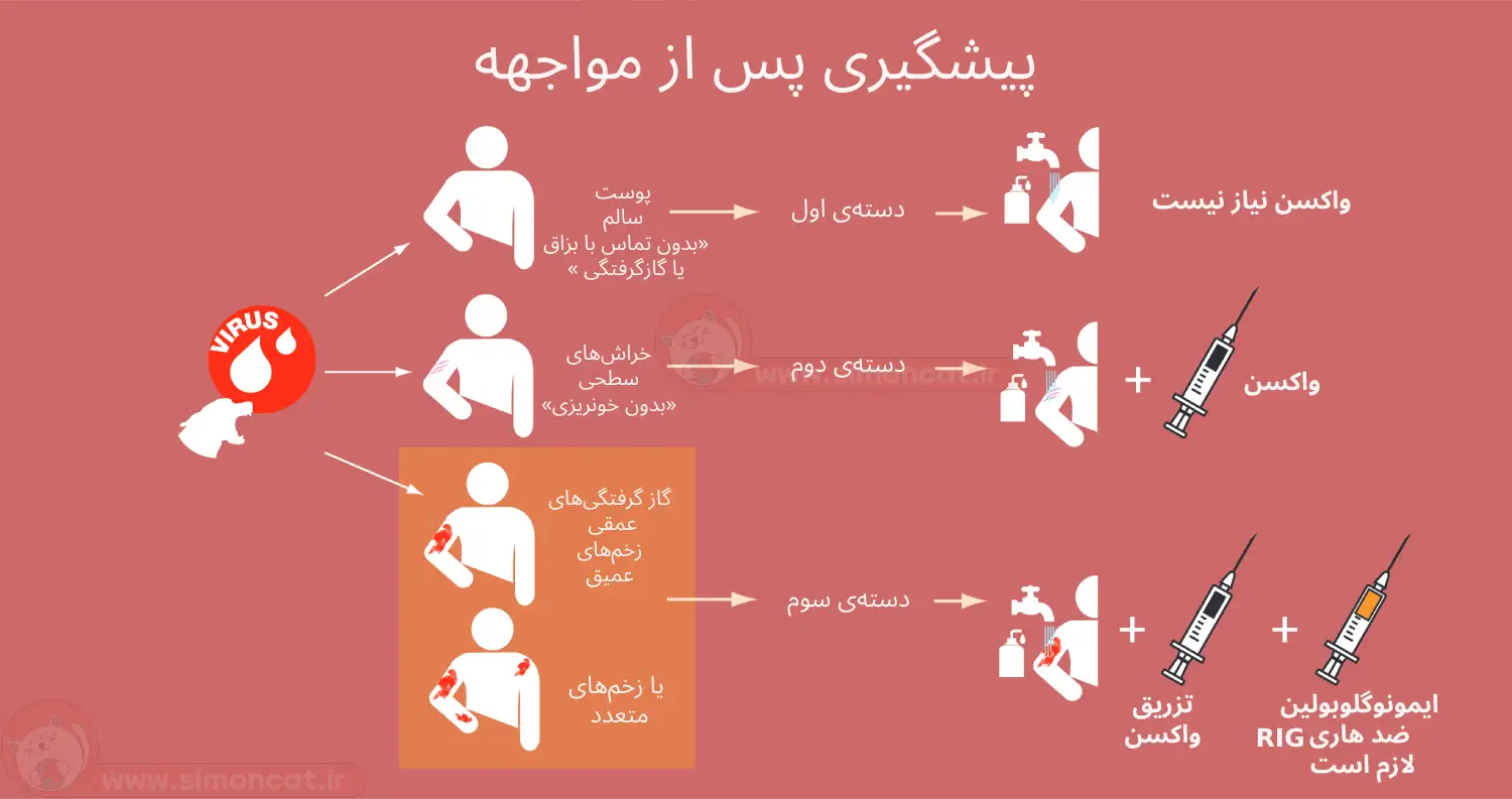 واکسن هاری انسان چند نوبت باید تزریق شود؟
