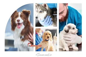 واکسن هفتگانه برای سگ