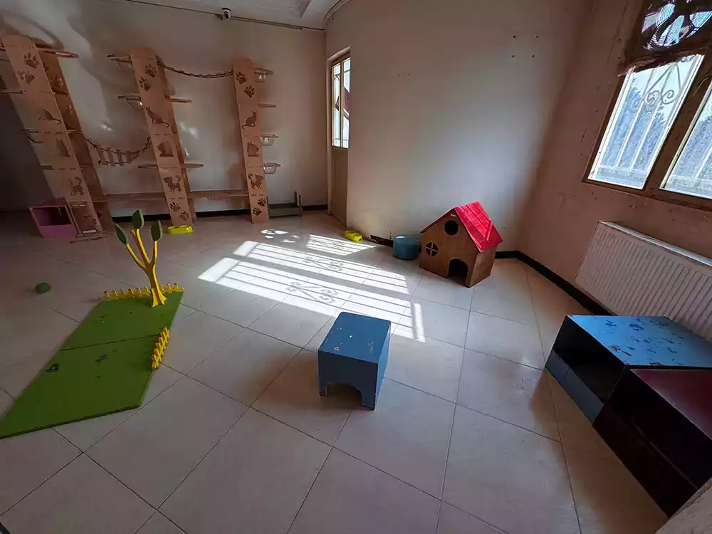 پانسیون گربه جنت آباد