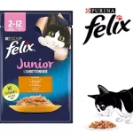 پوچ جونیور فلیکس