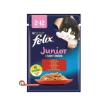 پوچ گربه خانگی