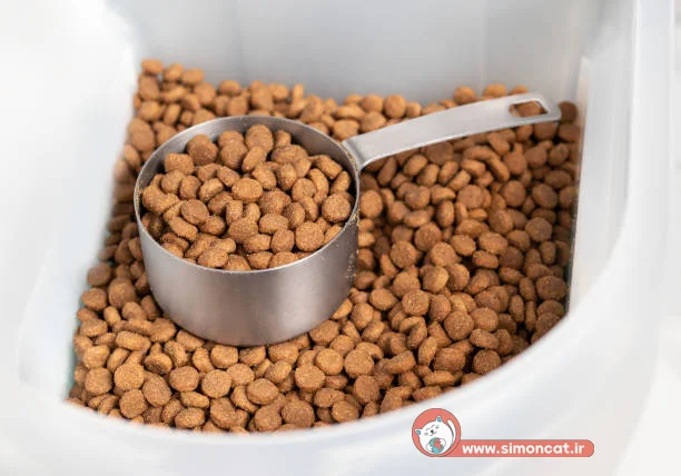 غذای خشک گربه داخل پیاله