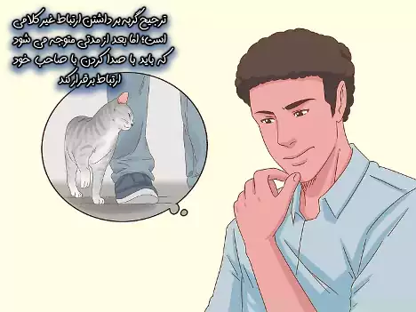 ارتباط غیر کلامی با گربه