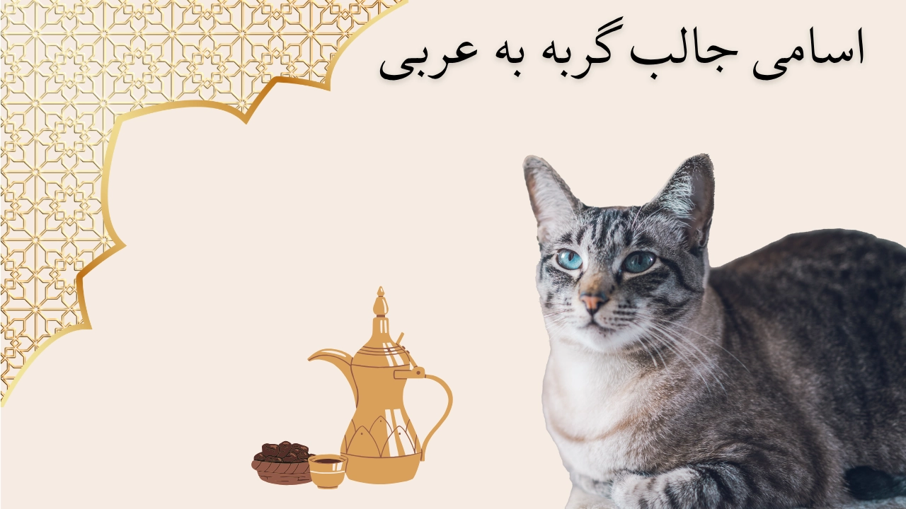 اسامی جالب گربه به عربی