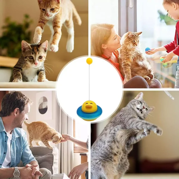 اسباب بازی برای گربه