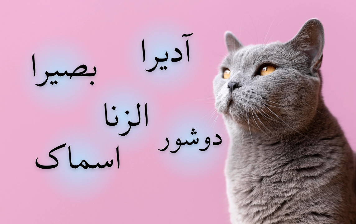 اسم عربی گربه ماده