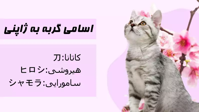 اسم گربه به ژاپنی