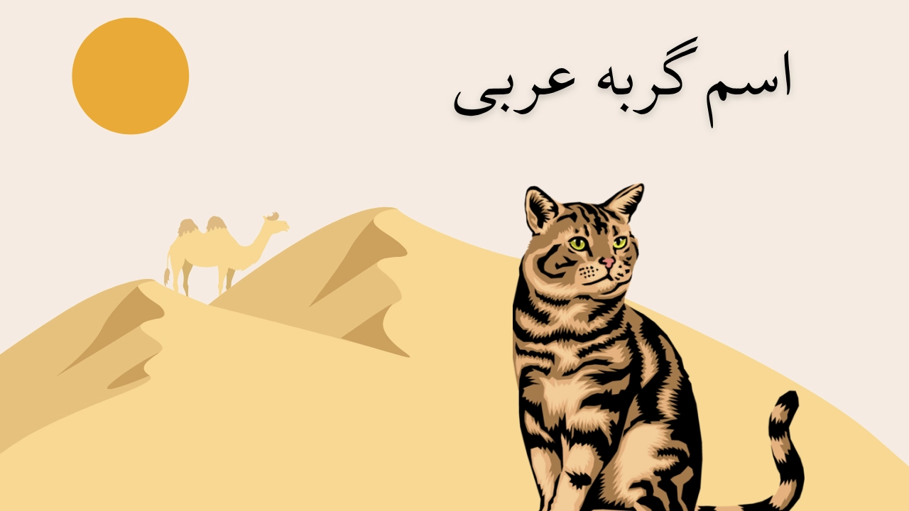 اسم گربه عربی