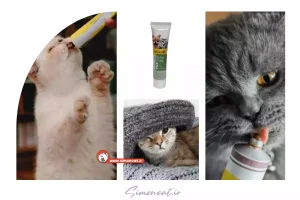 بهترین خمیر ریلکسی گربه