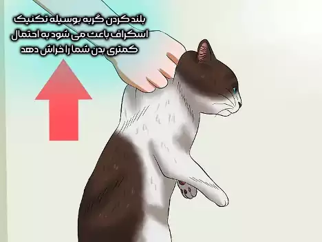 تکنیک اسکراف