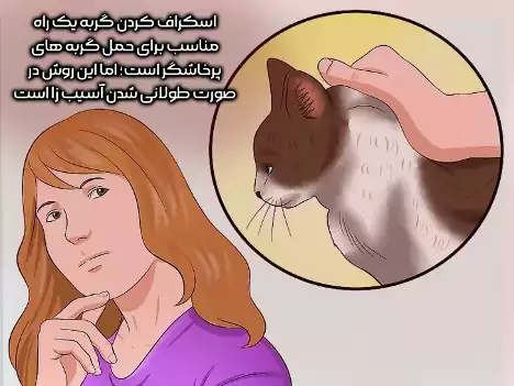 جابه جایی گربه با روش اسکراف