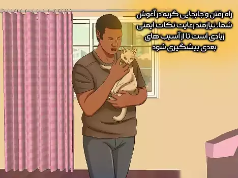جابه جایی گربه در آغوش