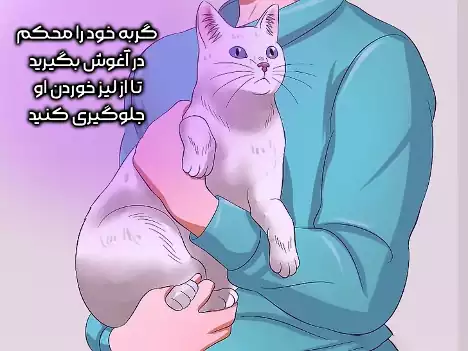 جلوگیری از لیز خوردن گربه