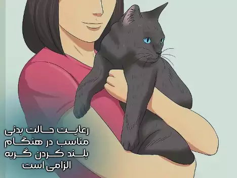 حالت بدن گربه در آغوش