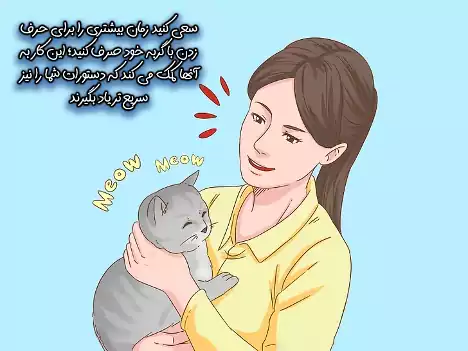 گفتگو با گربه