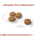 دانه غذای خشک رویال کنین