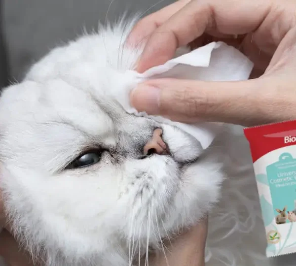 دستمال مرطوب سگ و گربه بایولاین با عصاره آلوئه ورا