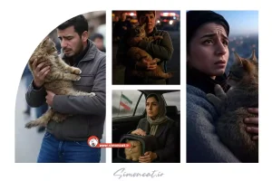 سفر با گربه در زمان اضطرار