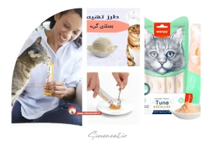 طرز تهیه بستنی برای گربه