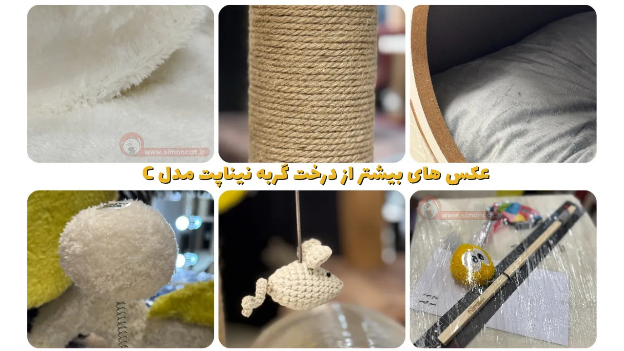 عکس های بیشتر از درخت گربه نیناپت مدل C