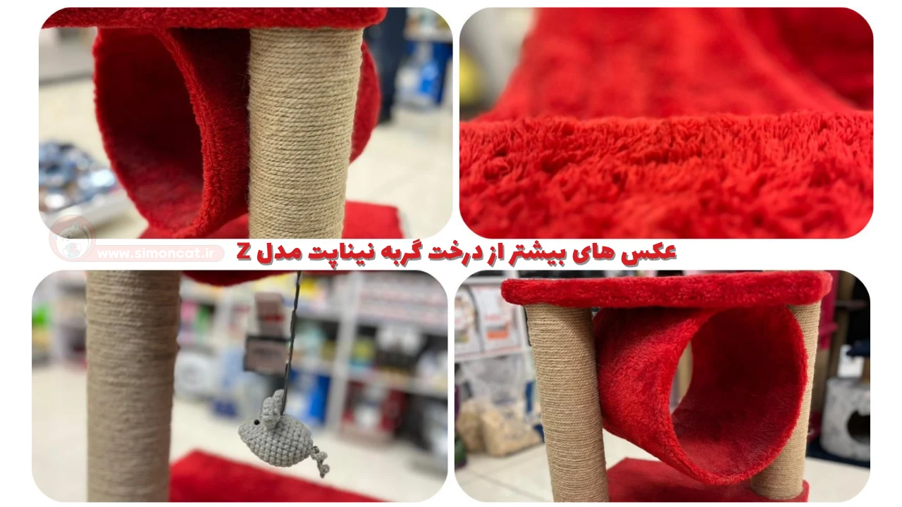 عکس های بیشتر از درخت گربه نیناپت مدل زد