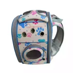 عکس کوله حمل گربه مدل فضایی 12