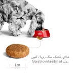 غذا خشک گسترو اینتستینال