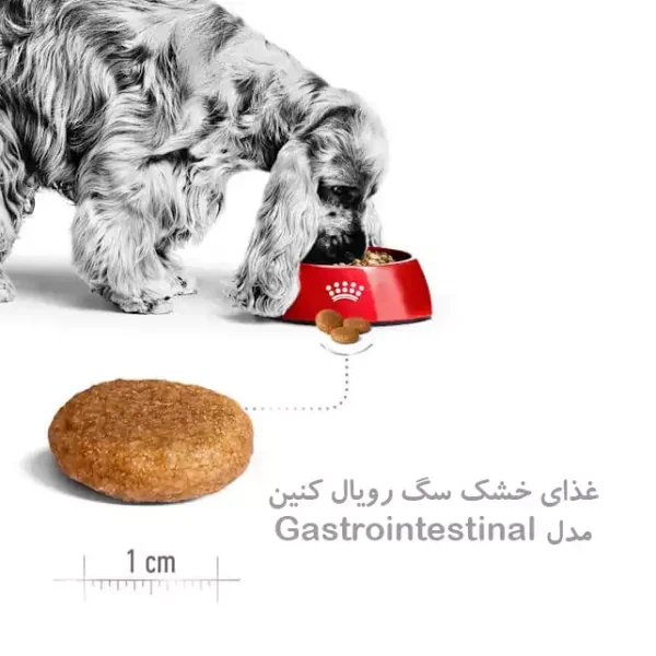 غذا خشک گسترو اینتستینال