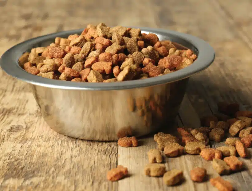 غذای خشک رنگی