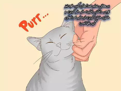 نوازش کردن گربه