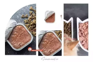 ووم گربه چیست ؟