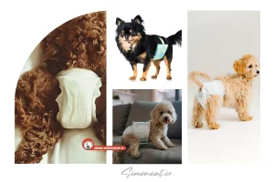 کاور سایمون کت