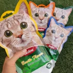 کت نیپ بایولاین