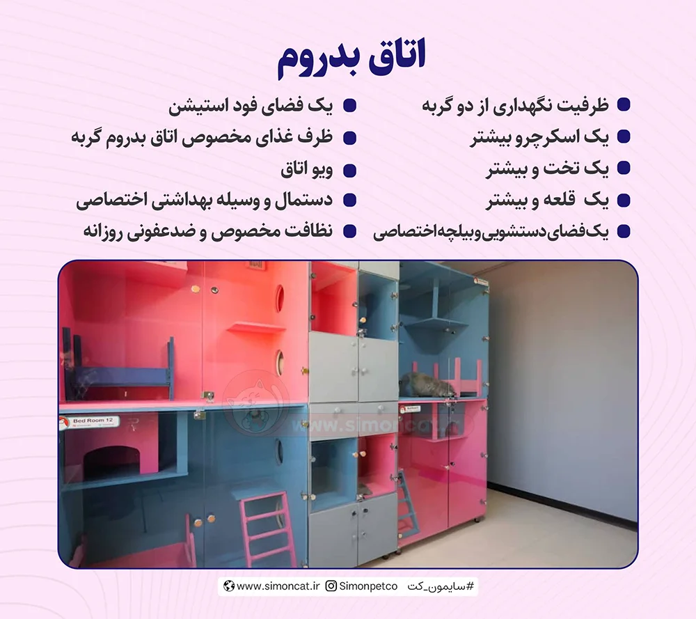 اتاق بدروم پانسیون گربه چگونه است؟