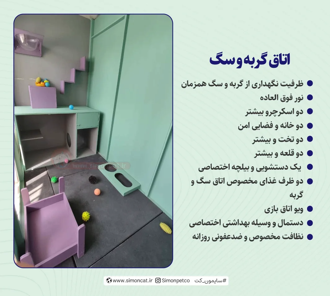 اتاق سگ و گربه سایمون کت