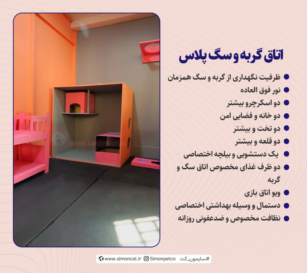 اتاق سگ و گربه پلاس سایمون کت