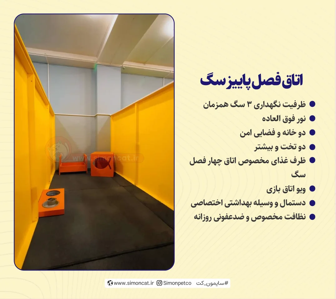 اتاق فصل پاییز سگ