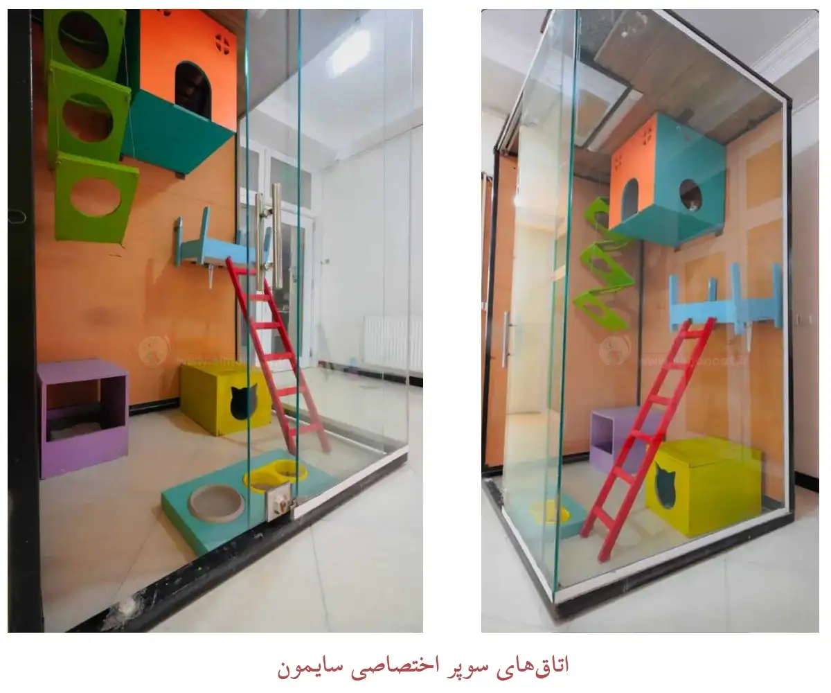اتاقهای سوپر اختصاصی سایمون