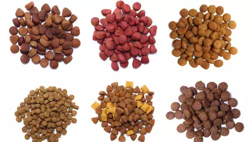 انواع غذای خشک