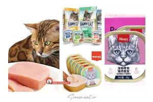 انواع ووم گربه