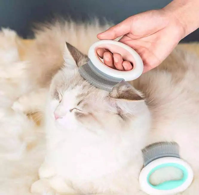 برس اصلاح گربه
