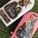 تشویقی مندی