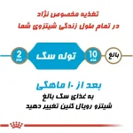 تغذیه مخصوص نژاد شیتزو