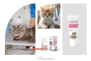 خمیر گلوکزامین گربه