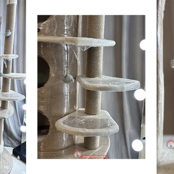 درخت گربه نیناپت قلعه