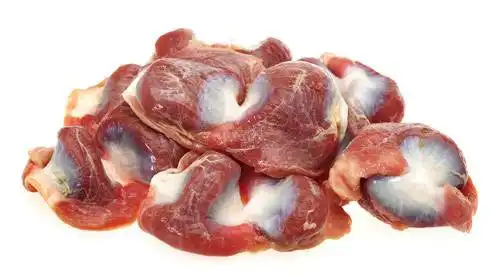 سنگدان برای گربه