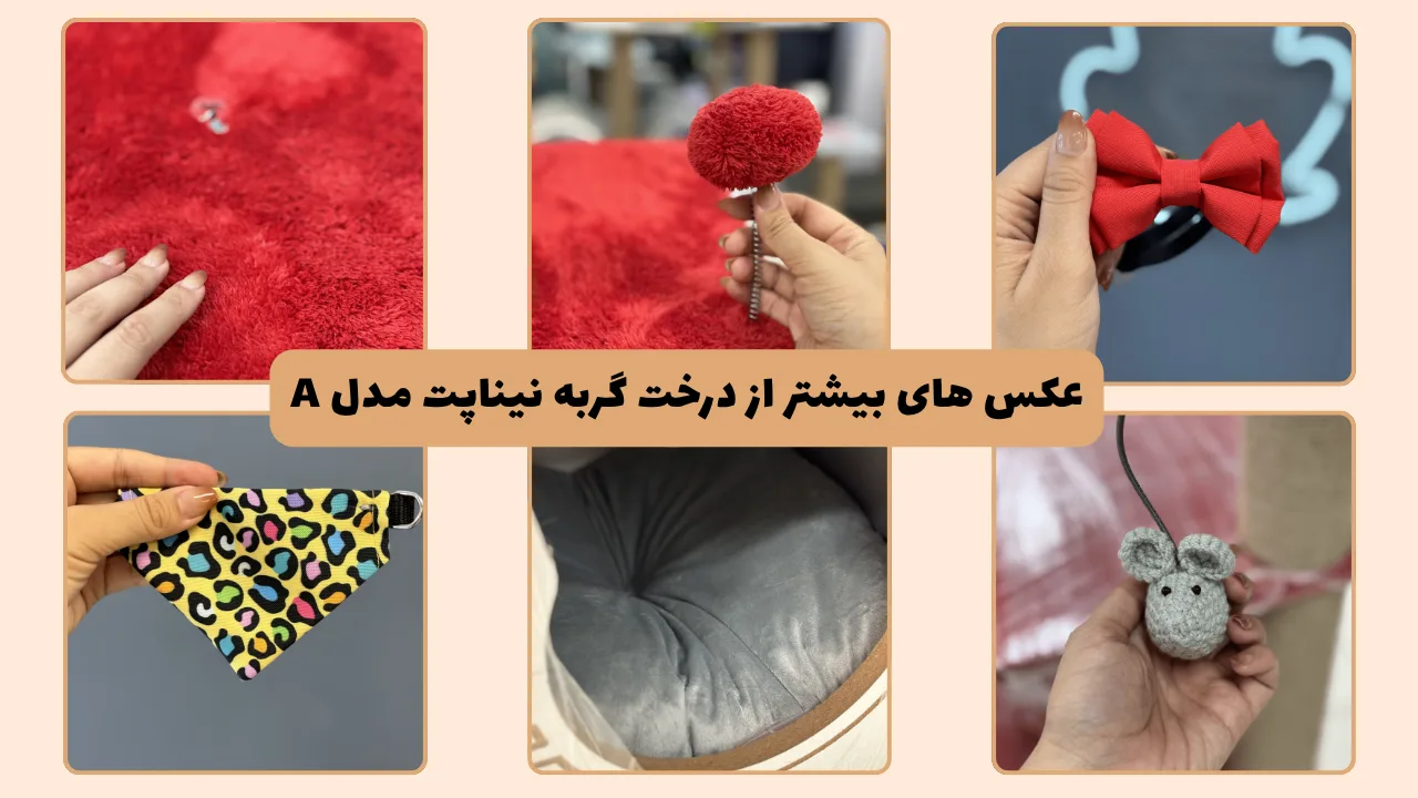 عکس های بیشتر از درخت گربه نیناپت مدل A